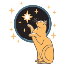 Starcatbooks