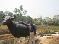 Binoyendra Paul