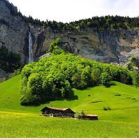 حمود البناقي