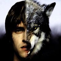 Ahmed Lupaster Pallipes