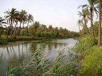 وليد البعاج