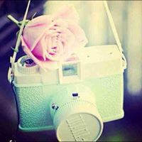 زهره الكاردينيا