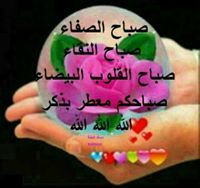 ابوبكر حامد