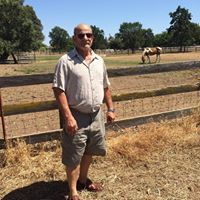 سندباد البحري