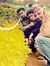Hrishi ...