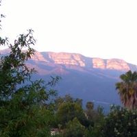 Robin-Elyse Holcombe