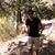 Nitish Nautiyal