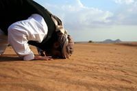 Mohamed Mokhtar El Gedawy