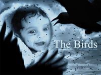 صالح القيسي