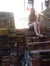 Cath