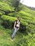 Vaishal...