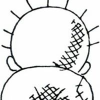 امير الزيدي