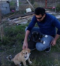 بەختیار جاف