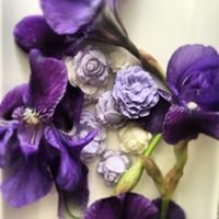 Sandy AuBuchon Maxwell