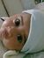 Tayyaba...