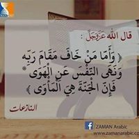 حمدي السرور