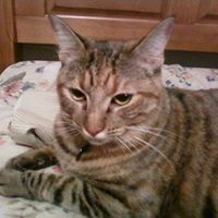 Cynthia Jackson
