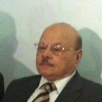 مصطفى الحفنى