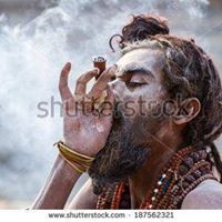 হিমুদের সারথি