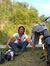 Sibul P...