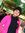 Shreya ...