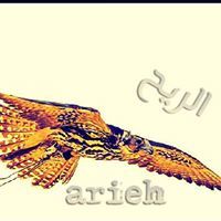 الريح السويدي