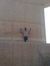 Hosam M...