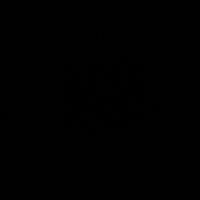 علی جتوئ
