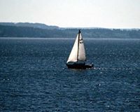 একজন আবাবীল