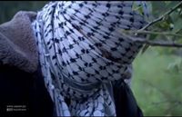 سارة الغريسي
