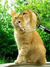 Александра Гронь