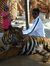 Satish ...