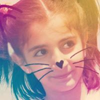 زهرة التوليب