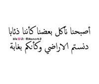 Ayat Alwajeeh