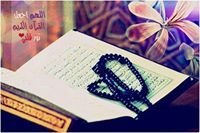 انس عبدالفتاح المرتضي