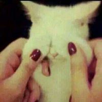 ʚïɞGehad Rabieʚïɞ