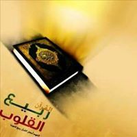 Dayf Hassan