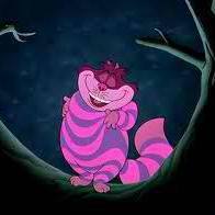 Danielle Burghy-Flack