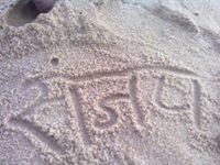 Sanjay Singh