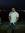 Rohit T...