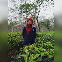 Annisa Suci