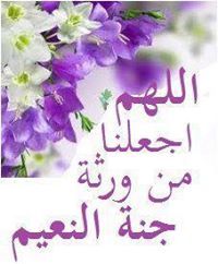 Mohamed Genedy