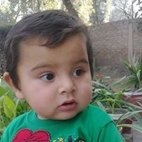 Shahadat Hussain Chaudhry