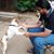 Bhavya Goradia