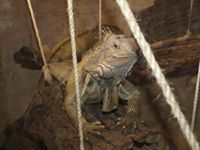 Roberta Kay Gonzalez