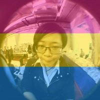 ป๊อปปี้ ประจำวันนี้