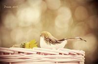 بشرى السمآء