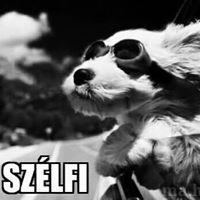 Reka Lehoczki Botondne