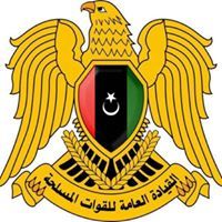 أنيس الشرقاوي