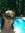 Raye